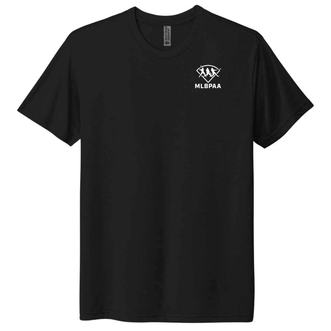 Next Level Apparel® Adult Tri-Blend Tee