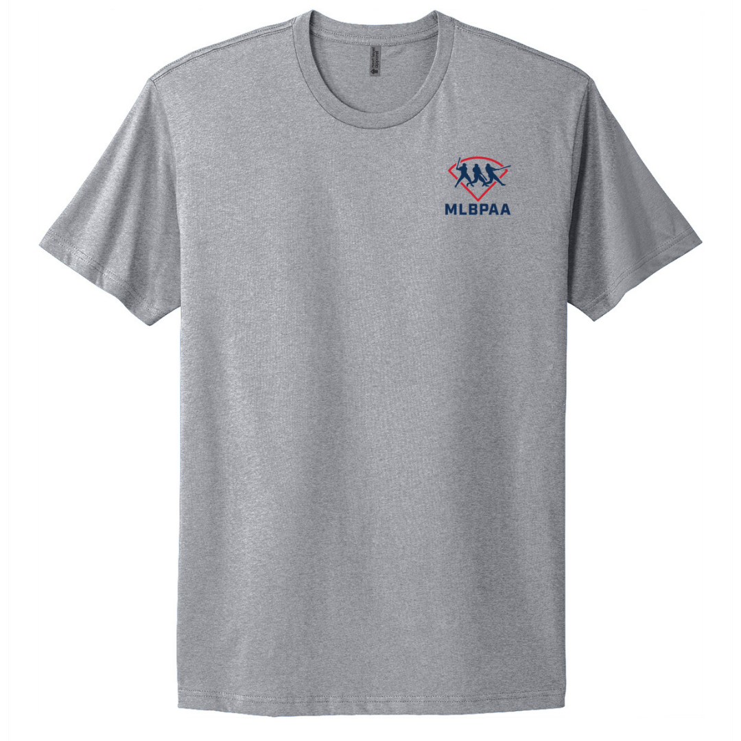 Next Level Apparel® Adult Cotton Tee