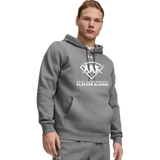 Under Armour Men's Team Icon Fleece Hoodie